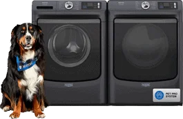 Rent to Own Category: Appliances